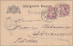 Bayern: 1887, Ganzsache  Mit Wz Von München In Die Türkei - Entiers Postaux