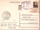 1944-R.S.I. Posta Da Campo N.867 C.2 (14.9) Su Cartolina Postale Mazzini C.30 - Guerra 1939-45