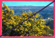 Delcampe - Lots En Vrac ( Alpes Maritimes) -  50  CARTES POSTALES- Du -( 06/ Alpes Maritime )- écrites Ou Pas. - 5 - 99 Postcards