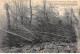 Après Les Inondations De La Loire 1910 - Sous La Violence De La Trombe D'eau - Très Bon état - Autres & Non Classés