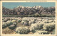 11109350 Beverly_Hills_California Mojave Desert
Winter Scene - Autres & Non Classés