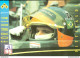 Bh21 1995 Formula 1 Gran Prix Collection Card Fittipaldi N 21 - Catalogues