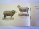 Delcampe - 2024 - 1868  " LE CHOIX DU BELIER "  Petite Brochure  PUB   (16 Pages)   XXX - Werbung
