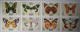 THEME PAPILLONS - BUTTERFLIES - DUBAI - Bloc De 8 Timbres Différents - Papillons