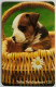 Sweden 120Mk. Chip Card - Puppy In A Basket - Zweden