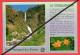 Delcampe - Lots Vrac (06-Alpes -Maritimes )-.(48.CPA-CPM-CPSM-)  Tout Le Département -Ecrites  Ou Pas . - 5 - 99 Postcards