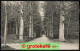 DOORN Schoonoordsche En Fleschlaan 1913 - Doorn