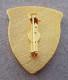 DISTINTIVO Vetrificato A Spilla PILOTA CARRO - Esercito Italiano Incarichi - Italian Army Pinned Badge - Used (286) - Armée De Terre