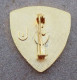 DISTINTIVO  A Spilla CONDUTTORE AUTOBLINDO - Esercito Italiano Incarichi - Italian Army Pinned Badge -used (286) - Armée De Terre