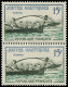 ** FRANCE - Poste - 1162a, Paire Dont 1 Exemplaire "FFRANCAISE": Joutes Nautiques - Neufs