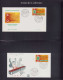 LOT COLONIES SERIES - Poste - 1963/1970, Europafrique, Collection Spécialisée En 2 Albums, Dont 14 épreuves D'artiste, L - Unclassified