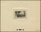 EPT MAROC - Poste - 258, épreuve D'atelier En Brun-noir (n° 1710) Oasis, Palmiers - Ungebraucht
