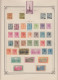 Delcampe - * MONACO - Lots & Collections - Collection En Un Album 1885/1965, Nombreuses Bonnes Séries (Jardins, Oiseaux De Mer, 1èr - Autres & Non Classés
