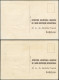 CM TERRES AUSTRALES - Poste Aérienne - 2/3, Sur 2 Cartes Maximum Oblitérés 1958: Manchots - Airmail