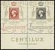 ** LUXEMBOURG - Poste - 454A, Paire Se Tenant, Bdf: Centilux - Andere & Zonder Classificatie