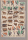 Delcampe - LOT RUSSIE - Lots & Collections - Lot De Plus De 620 étiquettes, Dont Nombreuses Proches Du Timbre émis - Collections