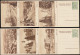 N YOUGOSLAVIE - Entiers Postaux - Michel P 154, Cp 10d. Vert, Produits Agricoles (1957), Série De 98 Cp Différentes Illu - Autres & Non Classés