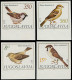 ** Oiseaux - Poste - Yougoslavie, Yvert 1811/14, Non Dentelés, Bdf: Oiseaux - Other & Unclassified