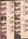 LET Jeux Olympiques - Lots & Collections - Allemagne (1936), Berlin, Collection De 148 Documents, Lettre, Cachets, Série - Other & Unclassified