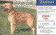 Spain: Telefonica - 2000 Real Sociedad Canina Espanõla, Pastor Vasco - Emissions Privées