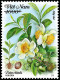 FDC Viet Nam Vietnam With Imperf Stamps & SS Issued On Internationa Tea Day / Flora / Flower / Fruit 2024 - Viêt-Nam