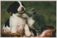 PERRO Y GATO Animales Vintage Tarjeta Postal CPSM #PAM052.A - Dogs