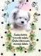 DOG Animals Vintage Postcard CPSM #PBQ638.A - Dogs
