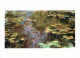 Art - Peinture - Claude Monet - Vétheuil - Nymphéas - CPM - Voir Scans Recto-Verso - Paintings