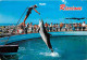 Animaux - Dauphins - CPM - Voir Scans Recto-Verso - Delfines