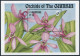 Gambia 1522-1523 Sheets,MNH.Michel Bl.225-226. Flowers 1994.Orchids.  - Gambia (1965-...)