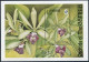 Gambia 1522-1523 Sheets,MNH.Michel Bl.225-226. Flowers 1994.Orchids.  - Gambie (1965-...)