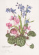 FIORI Vintage Cartolina CPSM #PAR342.IT - Fleurs