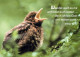 UCCELLO Animale Vintage Cartolina CPSM #PAM771.IT - Birds