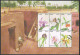 Ghana 2264-2267,2268 Sheet Of 6,2270 Sheet,MNH. Orchids,2001. - Prematasellado