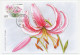 Maximum Card China 2003 Lily - Lilium Lankongense - Other & Unclassified