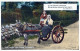 ASINO Animale Vintage CPA Cartolina #PAA200.IT - Donkeys