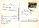 FARFALLA Animale Vintage Cartolina CPSM #PBS438.IT - Vlinders