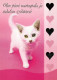 GATTO KITTY Animale Vintage Cartolina CPSM #PBQ991.IT - Cats
