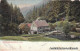 Ansichtskarte Braunlage Partie An Der Wolfsbachmühle 1906  - Braunlage