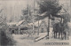 Ansichtskarte  Winterpartie - Kolonie Neu-Schlieben 1917  - To Identify