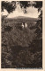 Ansichtskarte Burgkhammer-Burgk (Saale) Blick Auf Schloß Burgk 1951  - Other & Unclassified