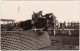Ansichtskarte  Springreiter - Sprung über Mauer, Turnier 1924 - Horse Show