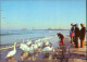 Ansichtskarte Warnemünde-Rostock Winter Am Strand 1980 - Rostock