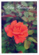 FLORES Vintage Tarjeta Postal CPSM #PAS240.ES - Fleurs