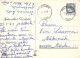 FLORES Vintage Tarjeta Postal CPSM #PAR759.ES - Flowers