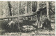 Ansichtskarte  Urwald Am Kurbani 1908  - To Identify