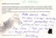 HIRSCH Tier Vintage Ansichtskarte Postkarte CPSM #PBS559.DE - Autres & Non Classés