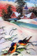 OISEAU Animaux Vintage Carte Postale CPSM #PAM956.FR - Oiseaux