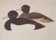 OISEAU Animaux Vintage Carte Postale CPSM #PAN203.FR - Oiseaux