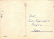 OISEAU Animaux Vintage Carte Postale CPSM #PAN019.FR - Birds